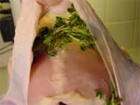 Showing spices between turkey breast and skin.